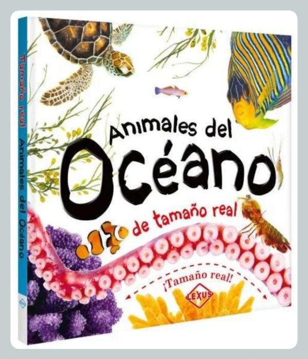Producto - Animales del Océano de Tamaño Real