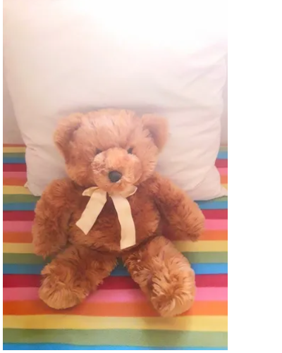 Producto - oso
