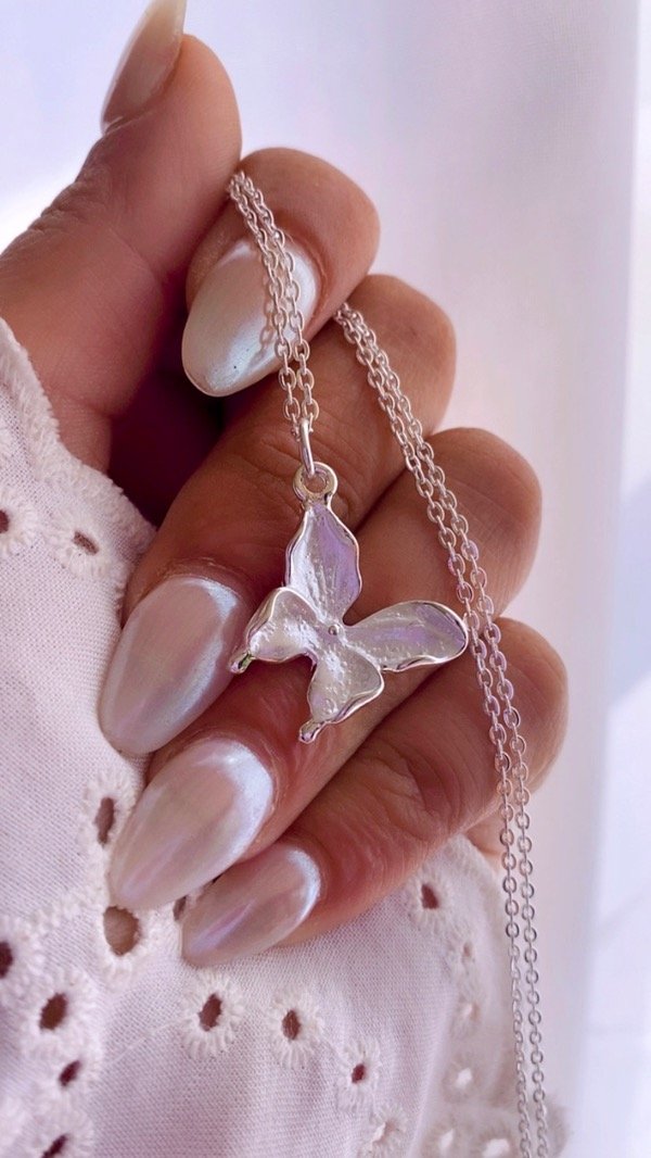 Producto - Mariposa nacarada blanca
