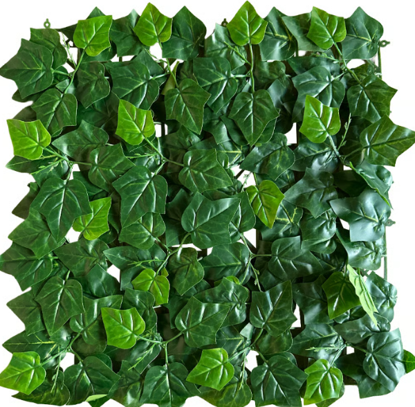 Producto - Jardín Vertical Aralia