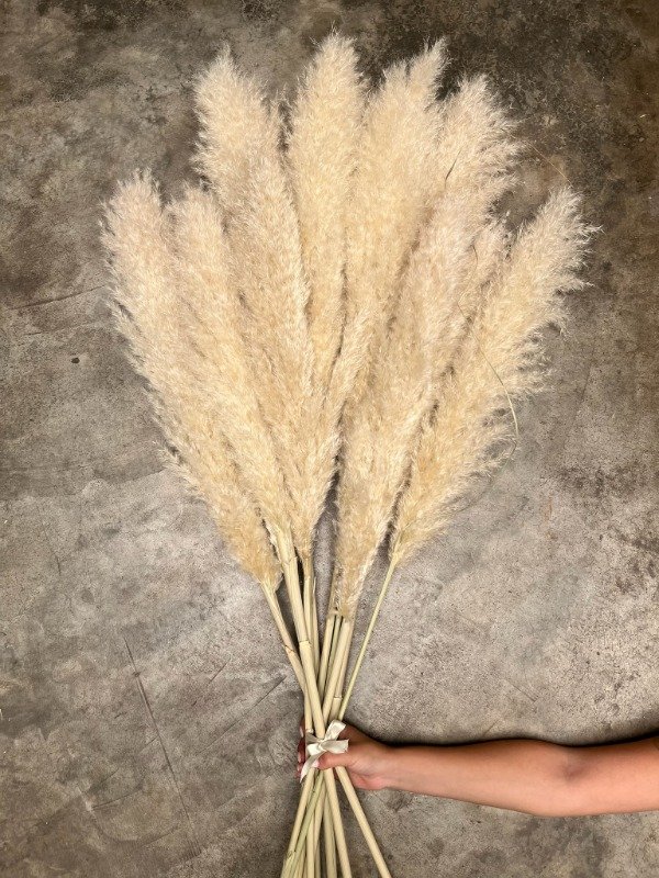 Producto - Ramo de Varas Pampa Grass