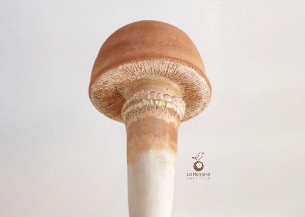 Producto - Sistema de Autorriego en Cerámica hecho a mano en cerámica diseño de Hongo - 2