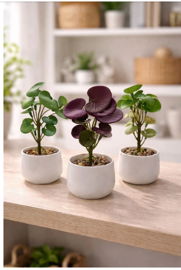Producto - Mini Planta con Macetita 15x5cm 7217