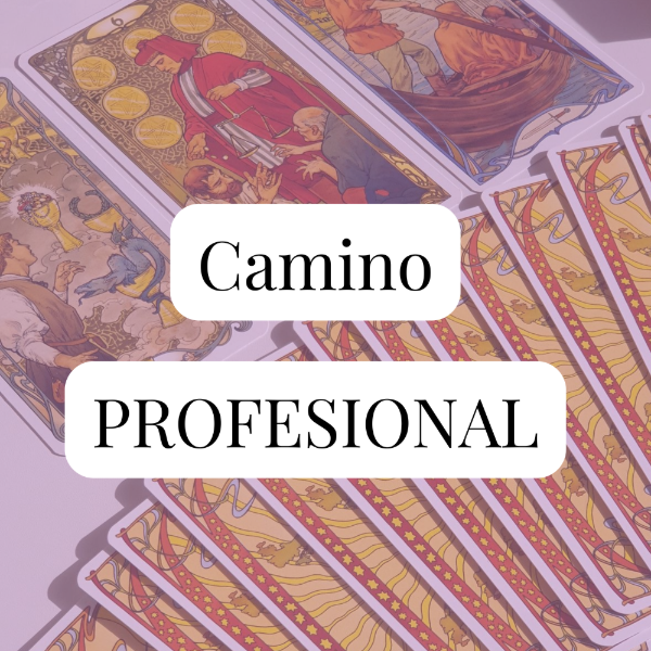 Producto - Lectura Camino Profesional