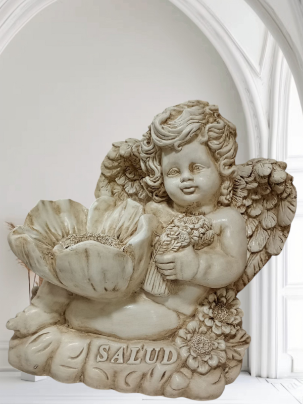 Producto - Angel salud