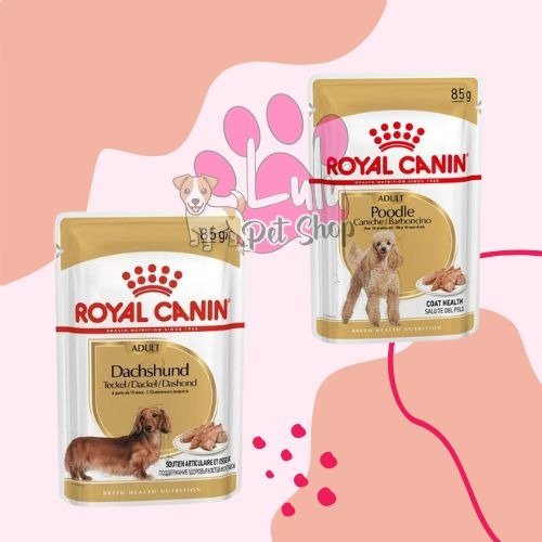 Producto - POUCH ROYAL CANIN DOG