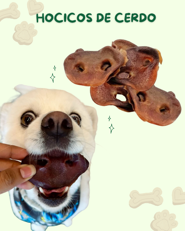 Producto - HOCICOS - 0