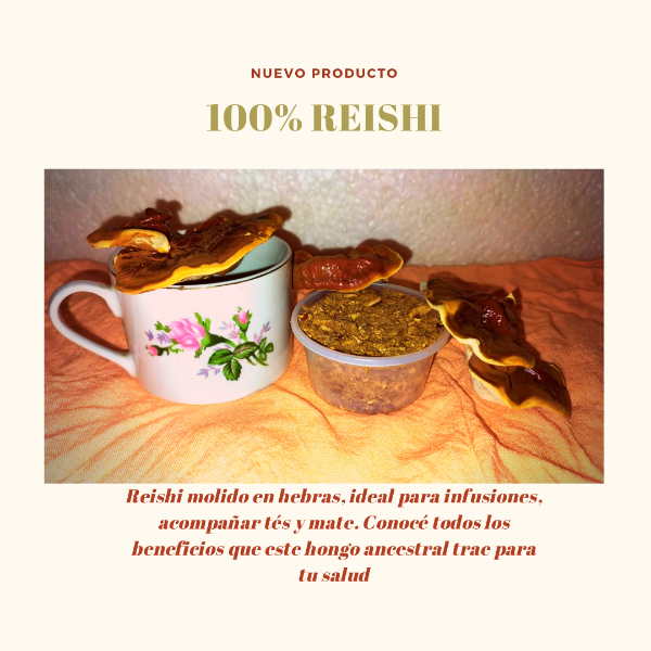 Producto - Reishi
