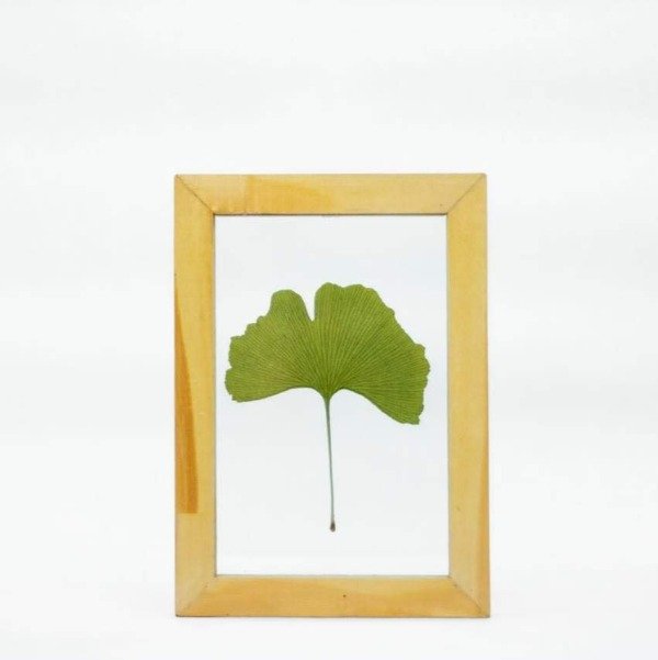 Imagen de producto - 3