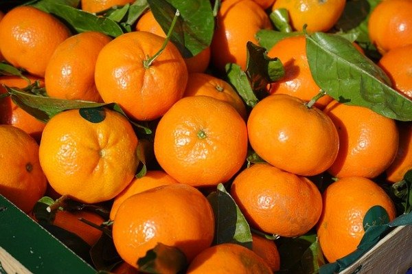 Producto - Mandarina Okitsu Agroecológica