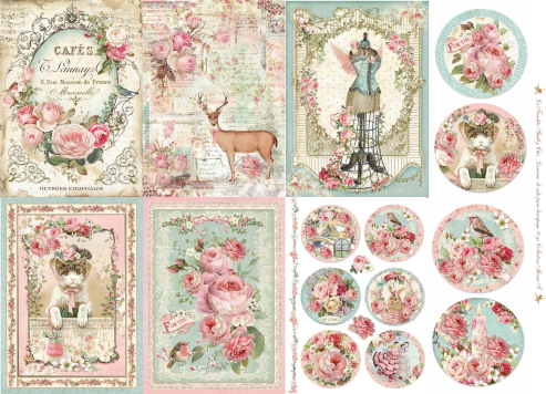 Producto - SHABBY 1