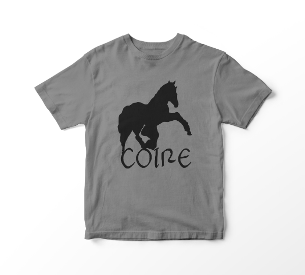 Producto - REMERA COIRE GRIS