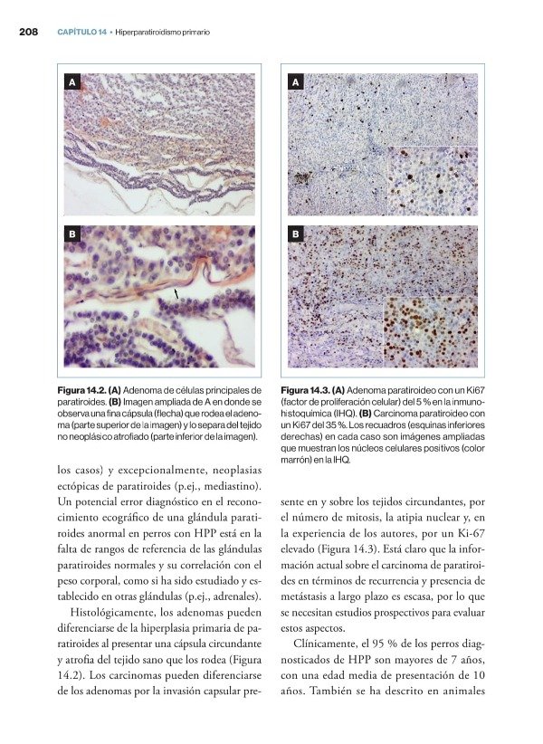 Producto - Teyssandier - Soler Arias: Manual Práctico de Endocrinología Clínica en el Perro - 3