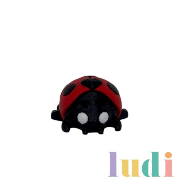 Producto - Vaquita de San Antonio