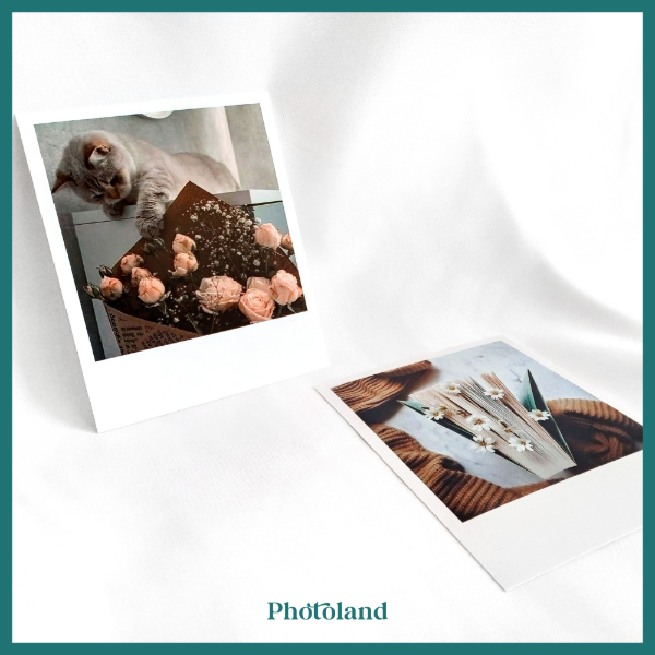 Producto - Polaroid (RD)