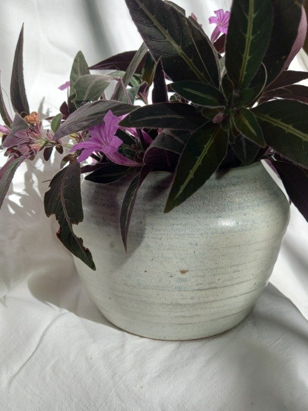 Producto - Florero Petunia