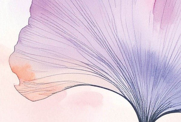 Miniatura de producto - 15