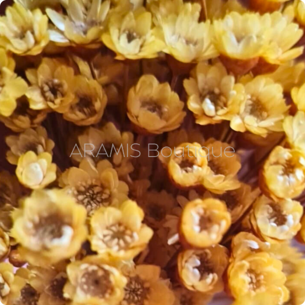 Producto - Diamantina amarilla