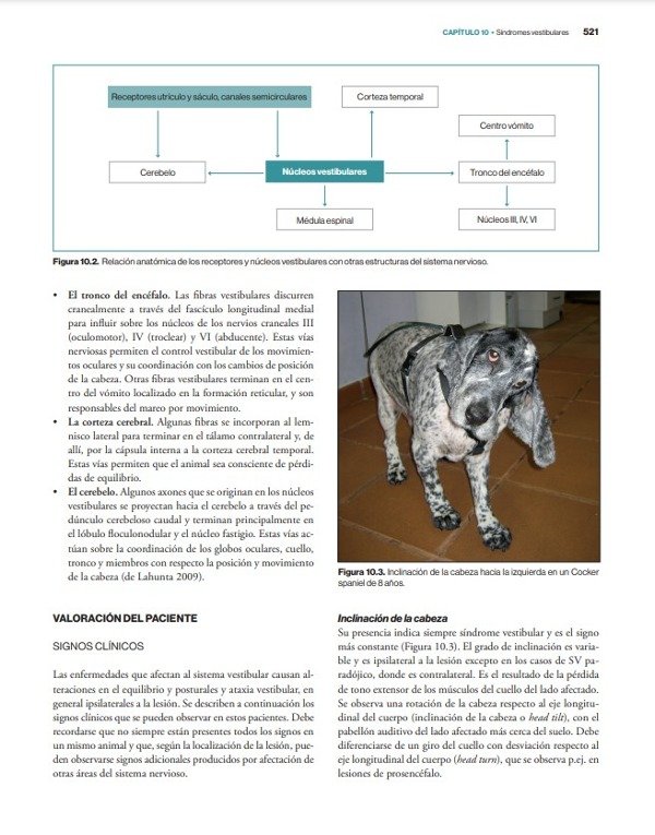 Producto - Morales: Neurología Canina y Felina, 2da - 4