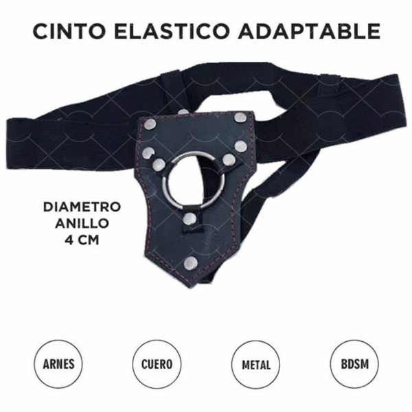 Producto - ARNES SIMPLE DE CUERO ARO CHICO