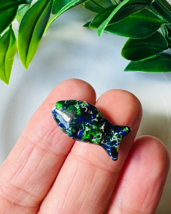 Producto - PEZ PIEDRA AZUL VERDE (1)