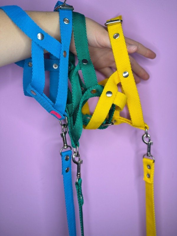 Producto - Pretal liso más correa talle 3