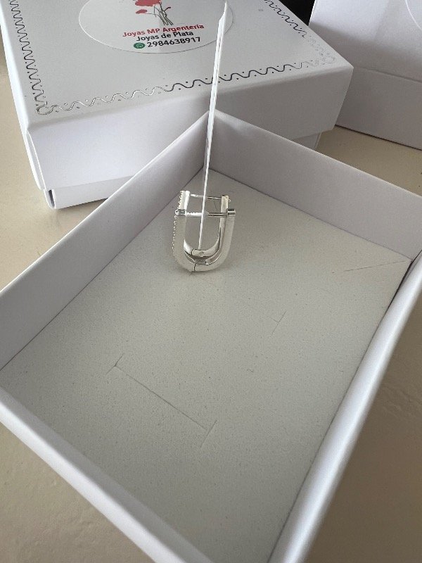 Producto - Aros de plata Clari - 1