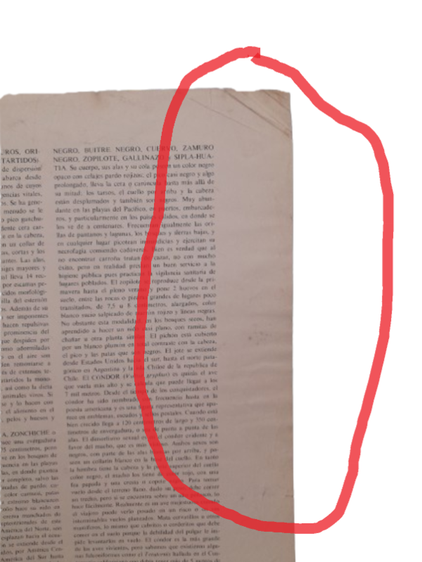 Miniatura de producto - 9