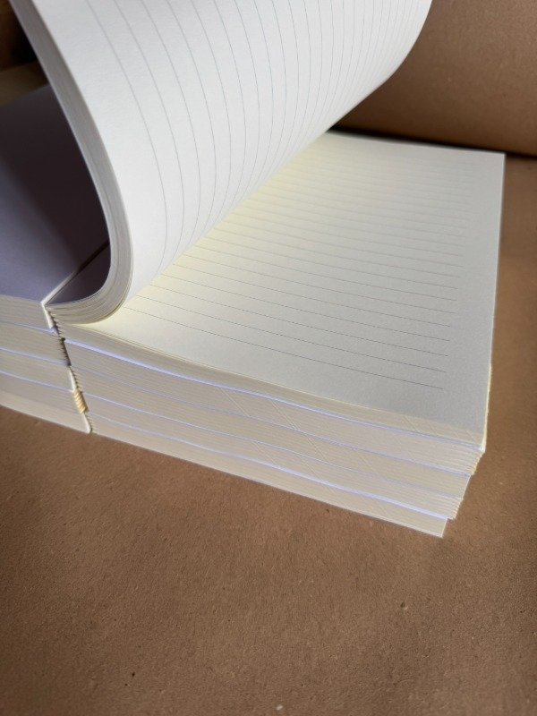 Producto - INTERIOR A6 C/GUARDA KRAFT, BOOKCEL RAYADO X5 - 0