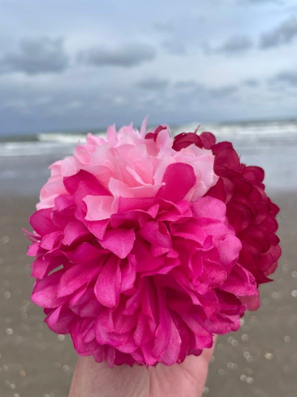 Producto - Clavel combinado rosa fucsia magenta