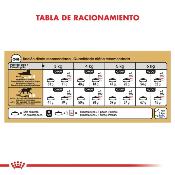 Producto - Alimento Royal Canin Gato Adulto Persian - 4