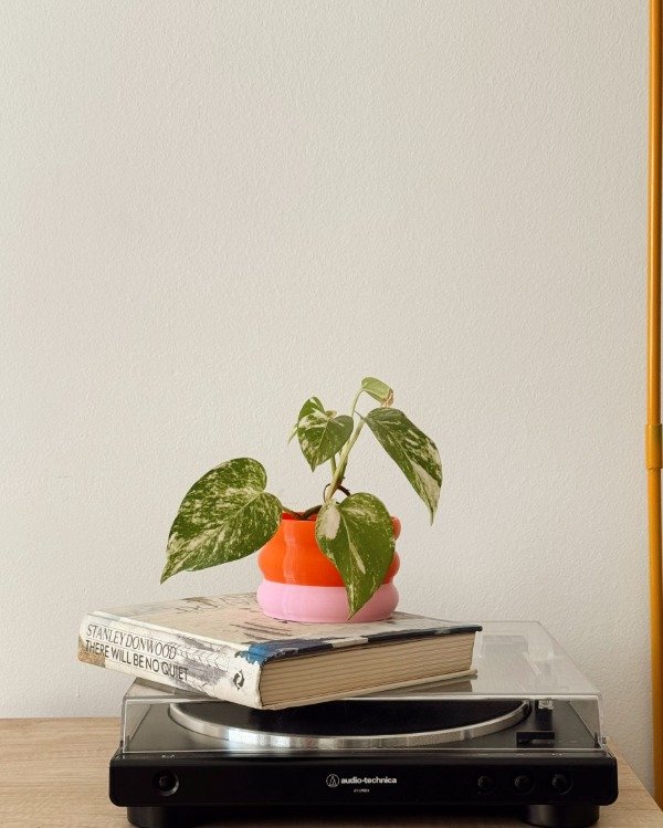 Producto - Maceta Taires S - #FlorDrop