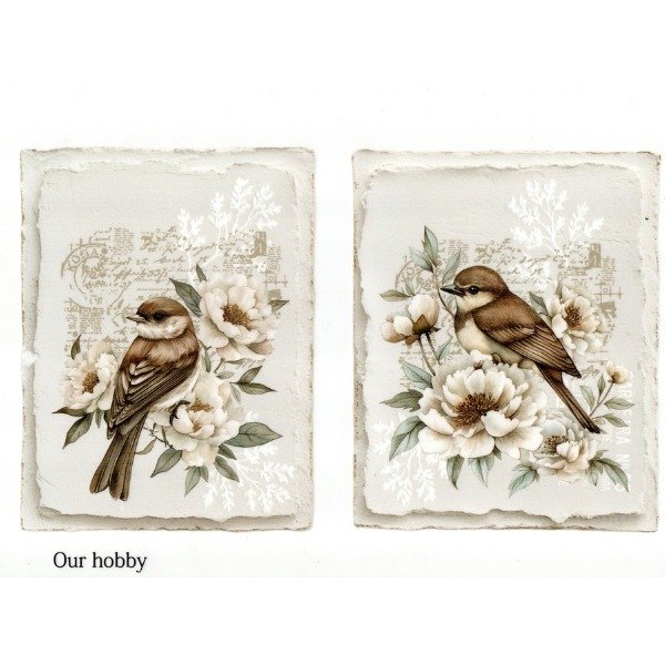 Producto - Pajaros 267