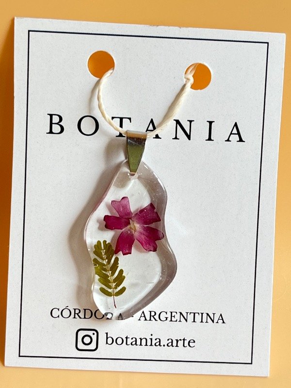 Producto - Variedad 9 verbena roja