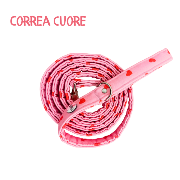 Producto - Correa CUORE