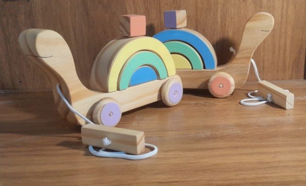 Producto - tortuga de arrastre