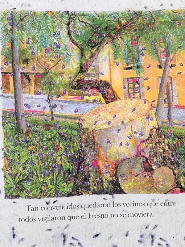 Producto - Boda en Chimaslistac - Elena Poniatowska - 3