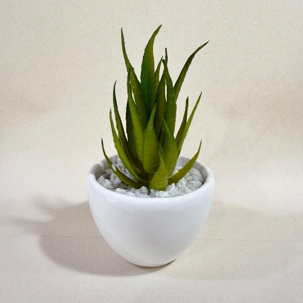 Producto - Planta sucu