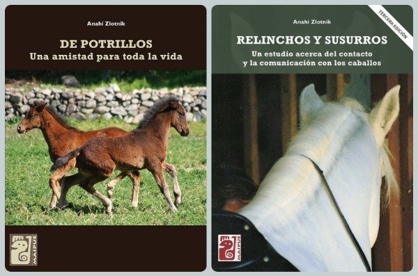 Producto - De Potrillos + Relinchos y Susurros