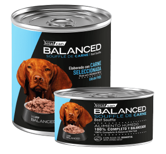 Producto - Vital Can Balanced Soufflé Carne 340gr.