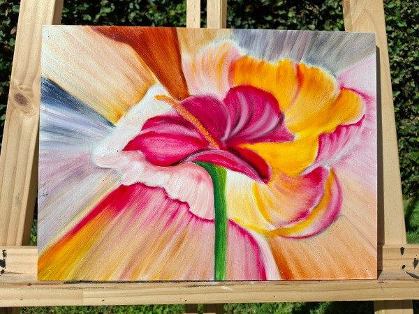 Producto - Cala en Explosión