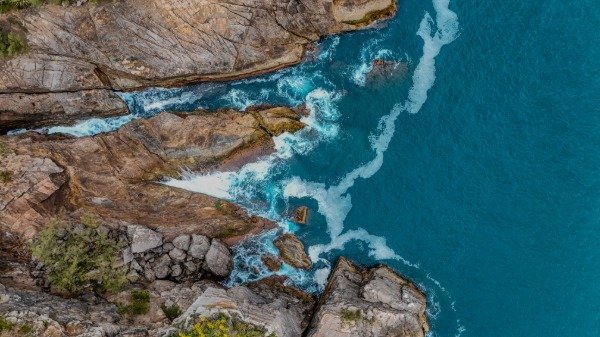 Producto - Tartaruga