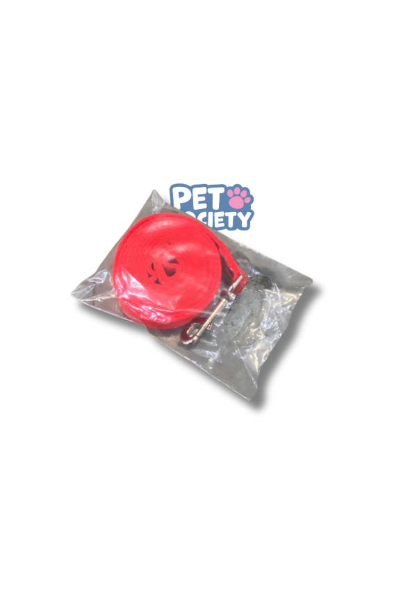 Producto - CORREA POLIPROPILENO 2 M