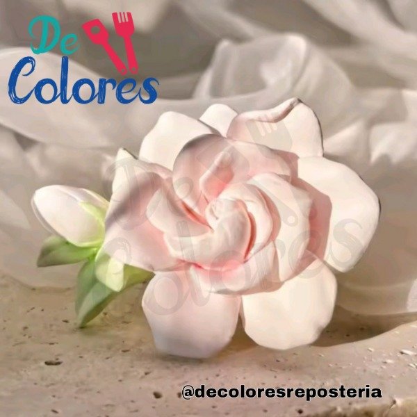 Producto - Molde flor jazmin