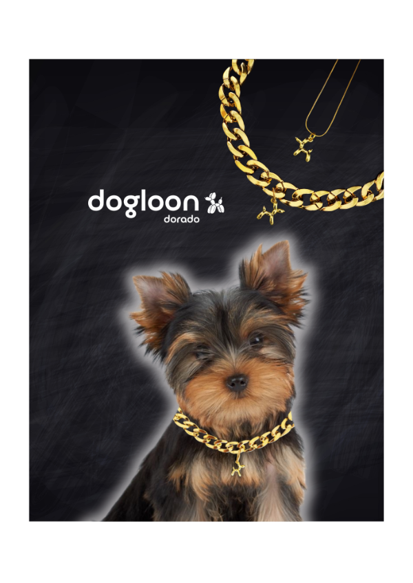 Producto - Dogloon Dorado - Para vos y tu perro