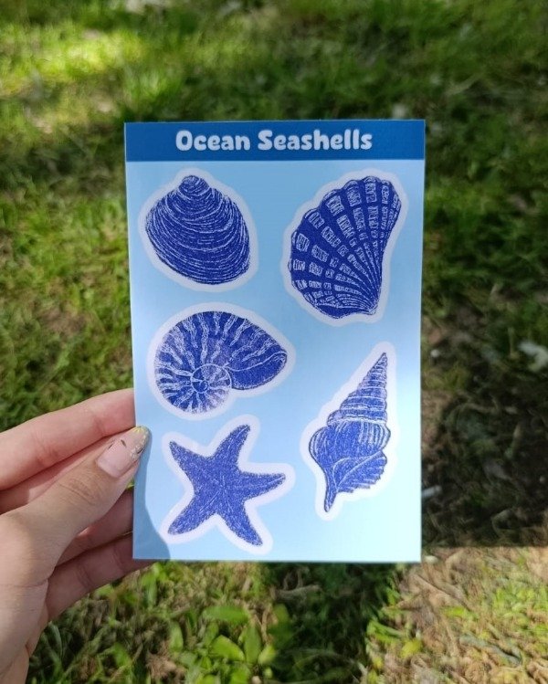 Producto - Plancha Corales Transparente