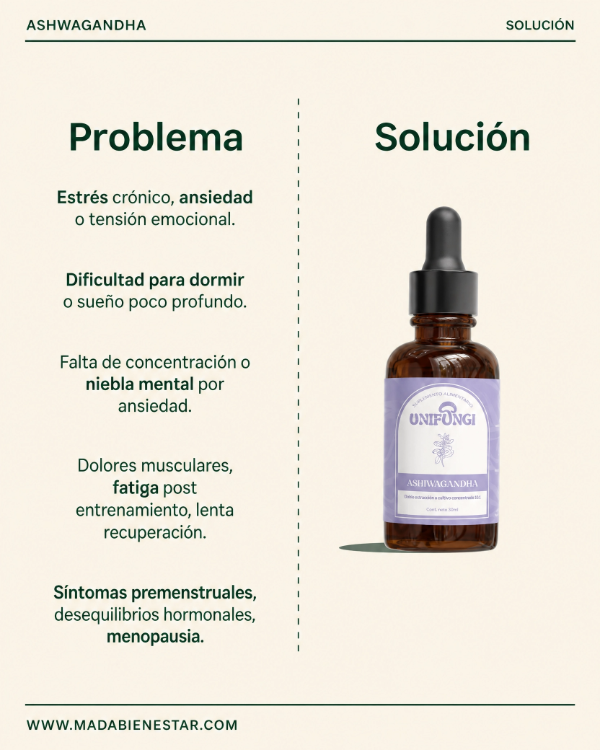 Producto - ASHWAGANDHA - 2