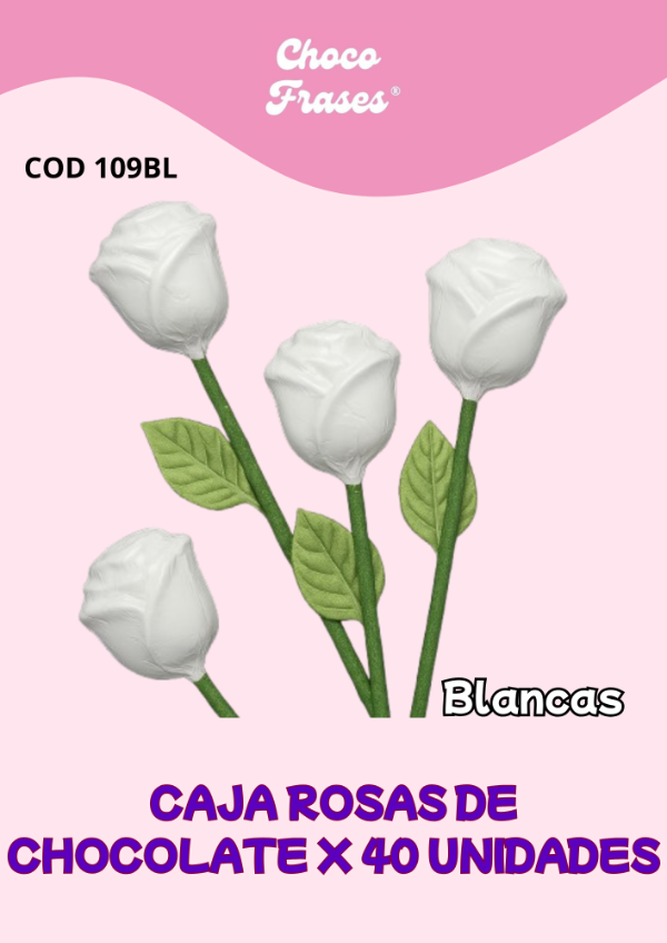 Producto - Rosa de Chocolate pack x 40 unidades Blancas