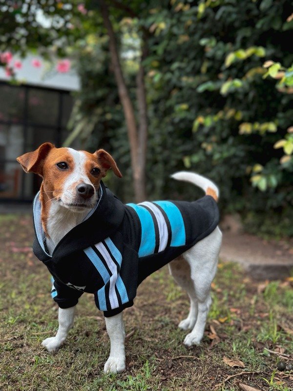 Producto - Buzo negro Argentina