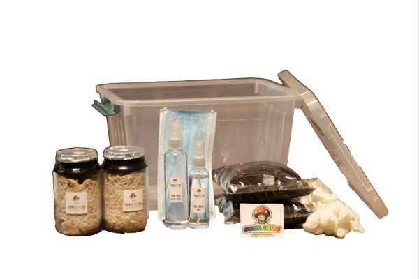 Producto - Kit Hongos Principiante Mediano